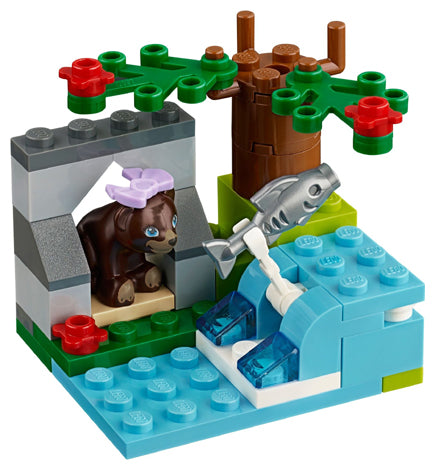 Brown Bear&#39;s River