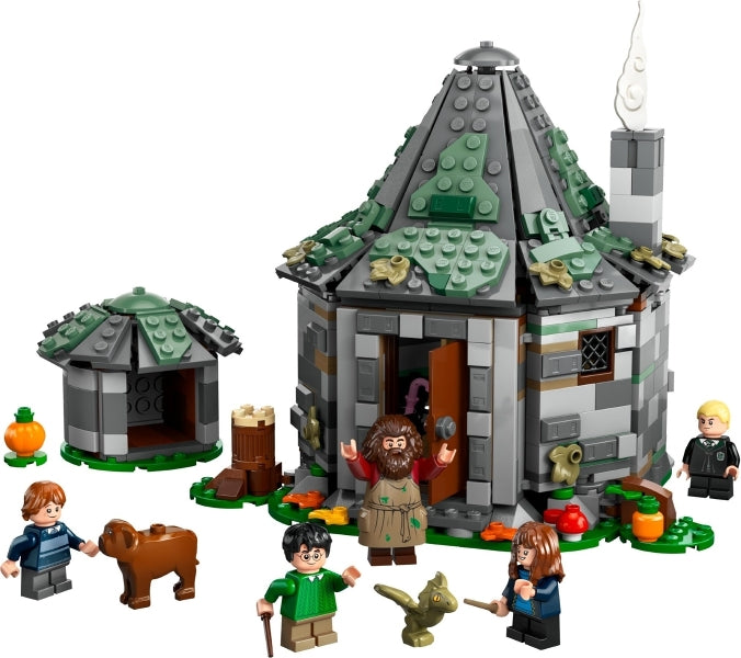 Hagrid/s Hut: An Unexpected Visit